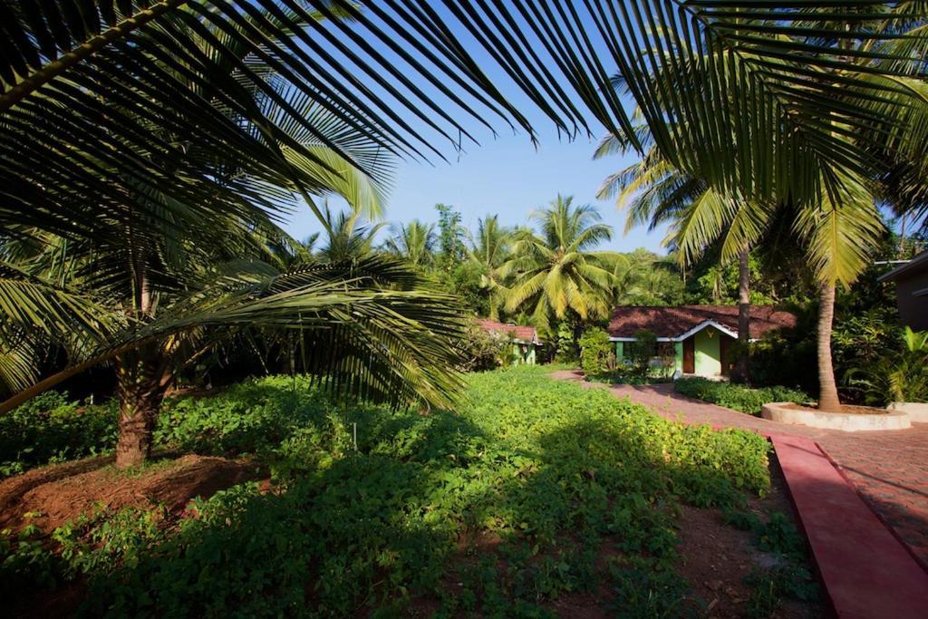 Dunhill Beach Resort Agonda Eksteriør billede