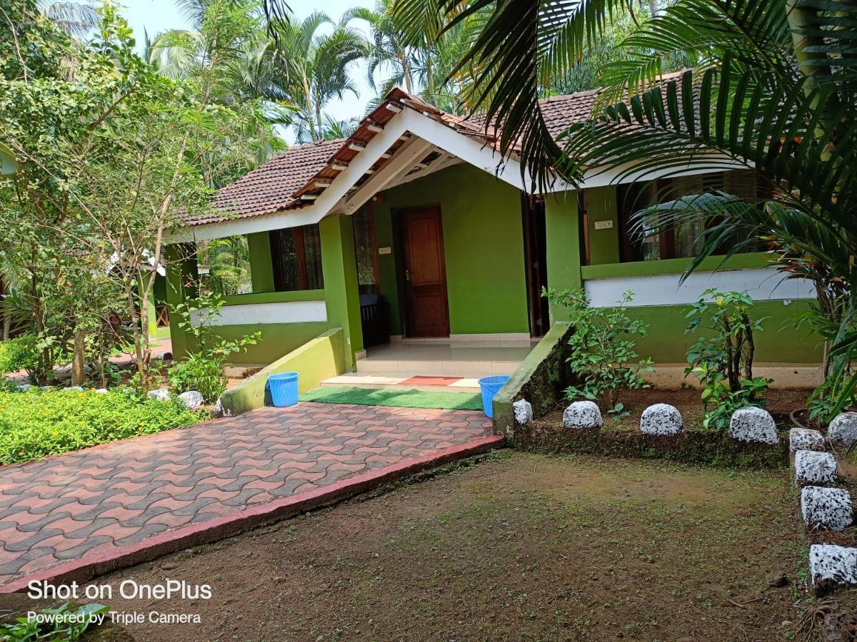 Dunhill Beach Resort Agonda Eksteriør billede