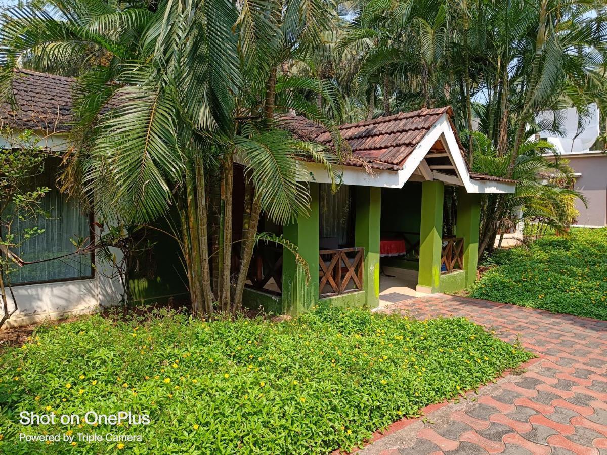Dunhill Beach Resort Agonda Eksteriør billede